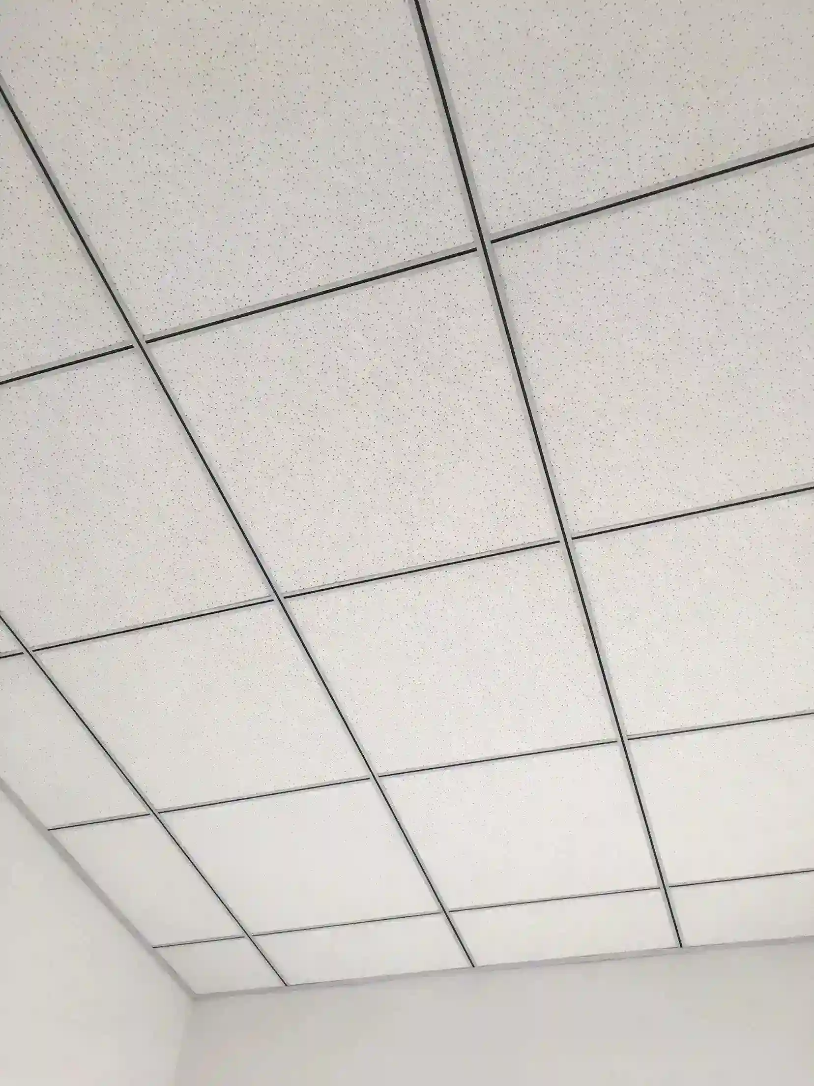 Black Reveal Aluminum Ceiling T Grid | Architectural Suspension Ceiling System