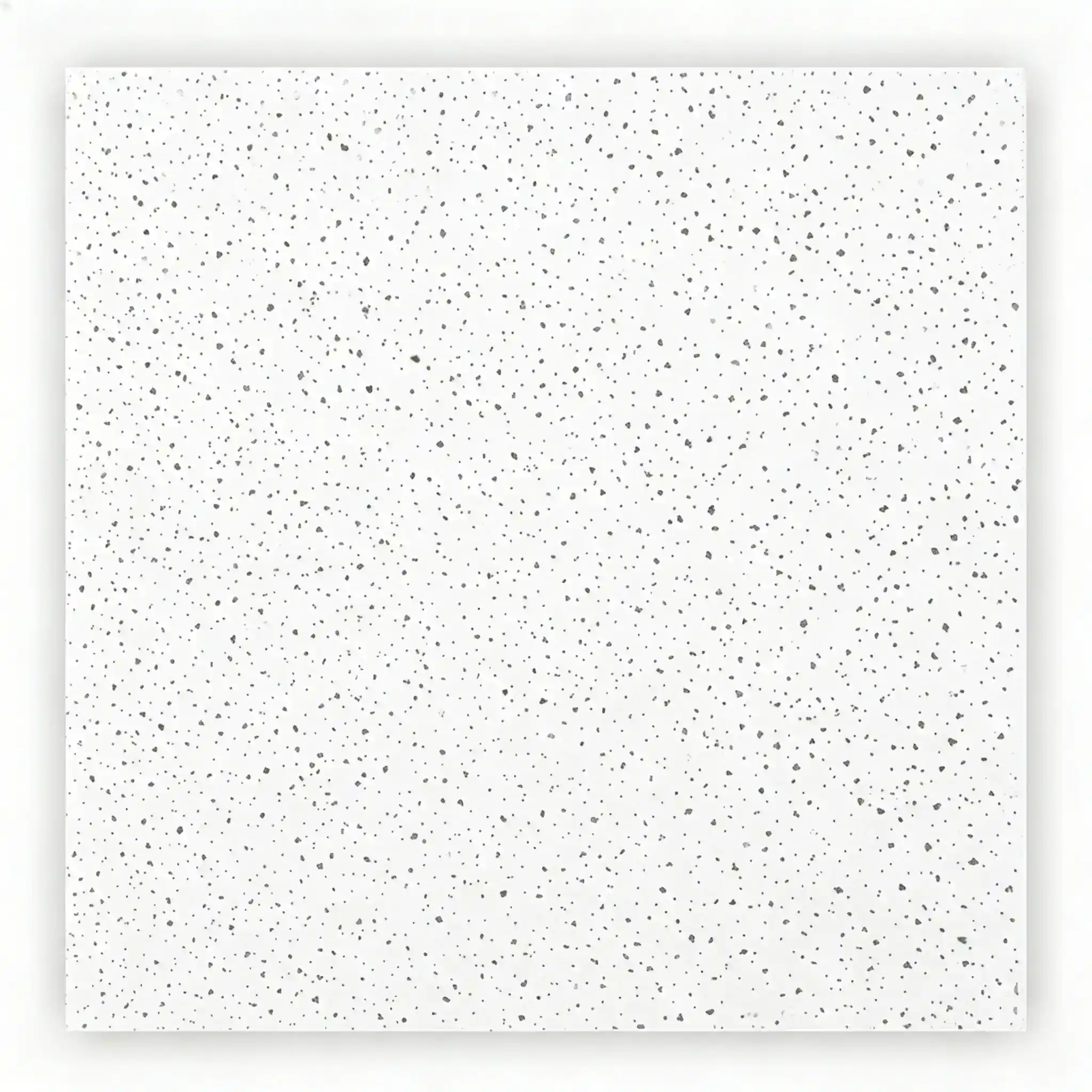 M005 Star Pattern Mineral Fiber Ceiling Tile Manufacturer | Acoustic Ceiling Panels for Public Buildings